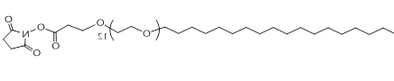 C18-PEG12-NHS 十二乙二醇十八烷基醚-NHS C18-PEG12-NHS 十二乙二醇十八烷基醚-NHS