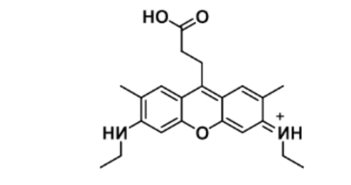 ATTO 520 acid；863655-50-9；分子式 C22H27N2O3+