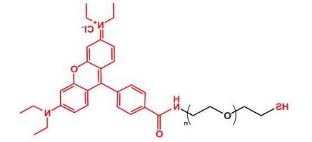 罗丹明聚乙二醇巯基 Rhodamine-PEG-SH