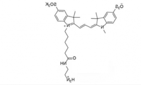 diSulfo-Cy3 C2 amine/磺酸基Cy3-C2-氨基 diSulfo-Cy3 C2 amine/磺酸基Cy3-C2-氨基