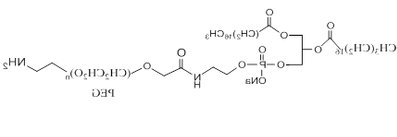 磷脂-聚乙二醇-氨基 自组装PEG脂质体 DSPE-PEG-NH2 
