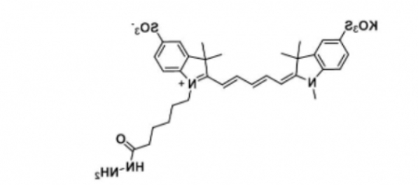 diSulfo-Cy5 hydrazide/水溶性Cy5 hydrazide/二磺酸基Cy5 酰肼