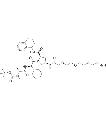 2415256-19-6	A 410099.1 amide-PEG3-amine-Boc PROTAC(蛋白降解靶向嵌合体)