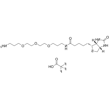 1334172-59-6	Biotin-C1-PEG3-C3-amine TFA PROTAC(蛋白降解靶向嵌合体)