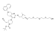 2378261-85-7	K-Ras ligand-Linker Conjugate 5 PROTAC(蛋白降解靶向嵌合体)