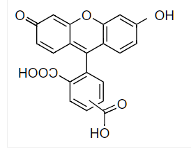 5(6)-FAM 5(6)-羧基荧光素 CAS 72088-94-9