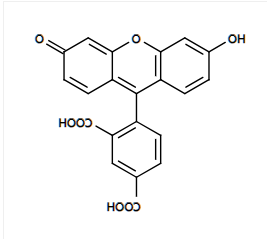 5-FAM 5-羧基荧光素 CAS 76823-03-5