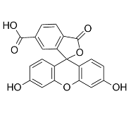 6-FAM ，6-羧基荧光素，CAS号：3301-79-9