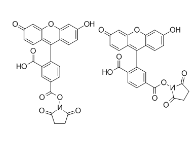 5(6)-FAM, SE 5(6)-羧基荧光素琥珀酰亚胺酯CAS号：117548-22-8