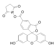 5-FAM,SE 5-羧基荧光素琥珀酰亚胺酯 CAS号：92557-80-7