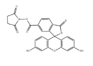 6-FAM,SE 6-羧基荧光素琥珀酰亚胺酯 CAS号92557-81-8 6-FAM,SE 6-羧基荧光素琥珀酰亚胺酯 CAS号92557-81-8