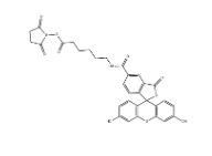 5-FAM-X, SE 5-羧基荧光素琥珀酰亚胺酯 CAS号：148356-00-7