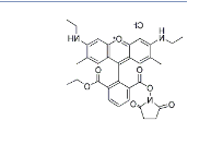 CAS：216699-37-5；6-羧基罗丹明6G琥珀酰亚胺酯；6-CR6G, SE