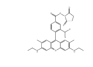 CAS：209112-21-0；5-羧基罗丹明6G琥珀酰亚胺酯；5-CR6G, SE