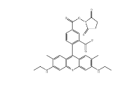 CAS号：98181-63-6；5(6)-TAMRA；5(6)-羧基四甲基罗丹明