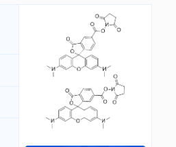 CAS号：246256-50-8；5(6)-TAMRA, SE；5(6)-羧基四甲基罗丹明琥珀酰亚胺酯