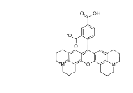 5(6)-ROX 5(6)-羧基-X-罗丹明 CAS号：198978-94-8