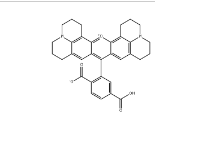 CAS号：194785-18-7；6-ROX；6-羧基-X-罗丹明，作为耦合至5-FAM的受体, 在FRET成像中作为供体