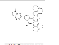 5-ROX, SE；5-羧基-X-罗丹明琥珀酰亚胺酯；CAS号：209734-74-7