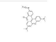 CAS号：80724-19-2；5-TRITC；四甲基罗丹明-5-异硫氰酸