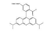 CAS号：80724-20-5；6-TRITC；四甲基罗丹明-6-异硫氰酸