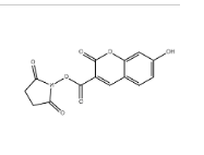 CAS号：134471-24-2；7-羟基香豆素-3-羧酸琥珀酰亚胺酯