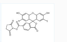 CAS号:198139-50-3;6-OG488,SE(相当于Oregon Green 488 SE,6-异构体) CAS号:198139-50-3;6-OG488,SE(相当于Oregon Green 488 SE,6-异构体)