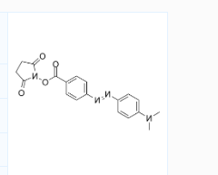 CAS号：146998-31-4；DABCYL SE；4-[4-(二甲基氨基)苯偶氮]苯甲酸 N-丁二酰亚胺酯