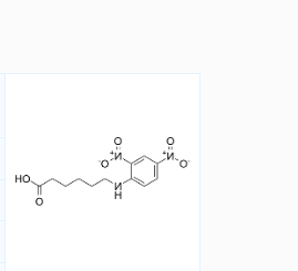 CAS号:10466-72-5;DNP-X酸;6-(2,4-二硝基苯)-6-氨基己酸 CAS号:10466-72-5;DNP-X酸;6-(2,4-二硝基苯)-6-氨基己酸