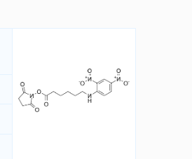 CAS号：82321-04-8；DNP-X 酸, SE；6-(2,4-二硝基苯胺基)己酸-N-琥珀酰亚氨基酯