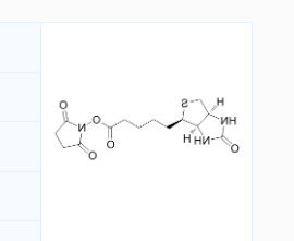 CAS号：35013-72-0；生物素琥珀酰亚胺酯；用于制备生物素化表面或多肽的氨基反应性生物素试剂