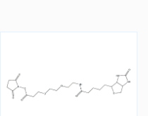 CAS号：596820-83-6；生物素 PEG2 琥珀酰亚胺酯