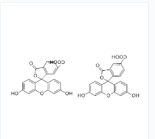 5(6)-FAM；5(6)-羧基荧光素；CAS号：72088-94-9