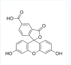 5-FAM;5-羧基荧光素;CAS号:76823-03-5 5-FAM;5-羧基荧光素;CAS号:76823-03-5