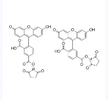 5(6)-FAM, SE；5(6)-羧基荧光素琥珀酰亚胺酯；CAS号：117548-22-8
