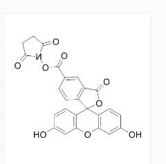 5-FAM,SE 5-羧基荧光素琥珀酰亚胺酯 CAS号：92557-80-7