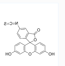 5-FITC；5-异硫氰酸荧光素；CAS号：3326-32-7
