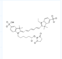 Cy7 NHS酯;CY7-Sulfo NHS Ester;CAS号:477908-53-5 Cy7 NHS酯;CY7-Sulfo NHS Ester;CAS号:477908-53-5