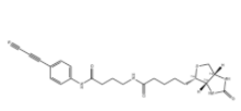 APN-C3-biotin 