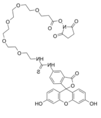 Fluorescein-PEG5-NHS ester  