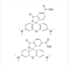 CAS号：98181-63-6；5(6)-TAMRA；5(6)-羧基四甲基罗丹明