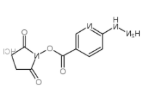 	6-肼基烟酸琥珀酰亚胺酯盐酸盐	 