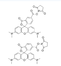 CAS号：246256-50-8；5(6)-TAMRA, SE；5(6)-羧基四甲基罗丹明琥珀酰亚胺酯