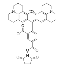 CAS号：209734-74-7；5-ROX, SE；5-羧基-X-罗丹明琥珀酰亚胺酯