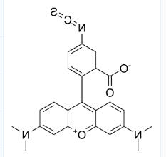 CAS号：80724-19-2；5-TRITC；四甲基罗丹明-5-异硫氰酸