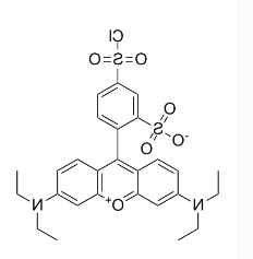 CAS号：62796-29-6；丽丝胺碱性蕊香红B磺酰氯