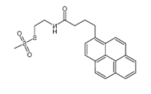 甲硫基磺酸2-[3-(1-吡啶基)丙基甲酰胺基]乙酯	 