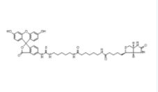 Fluorescein Biotin 