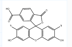 CAS号：195136-53-9；6-OG488 酸（相当于Oregon Green 488 羧酸,6-异构体）