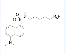 CAS号：10121-91-2；DANSYLCADAVERINE；N-(5-氨基戊基)-5-(二甲基氨基)萘-1-磺酰胺